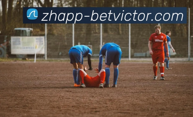 必威体育官网平台生态图